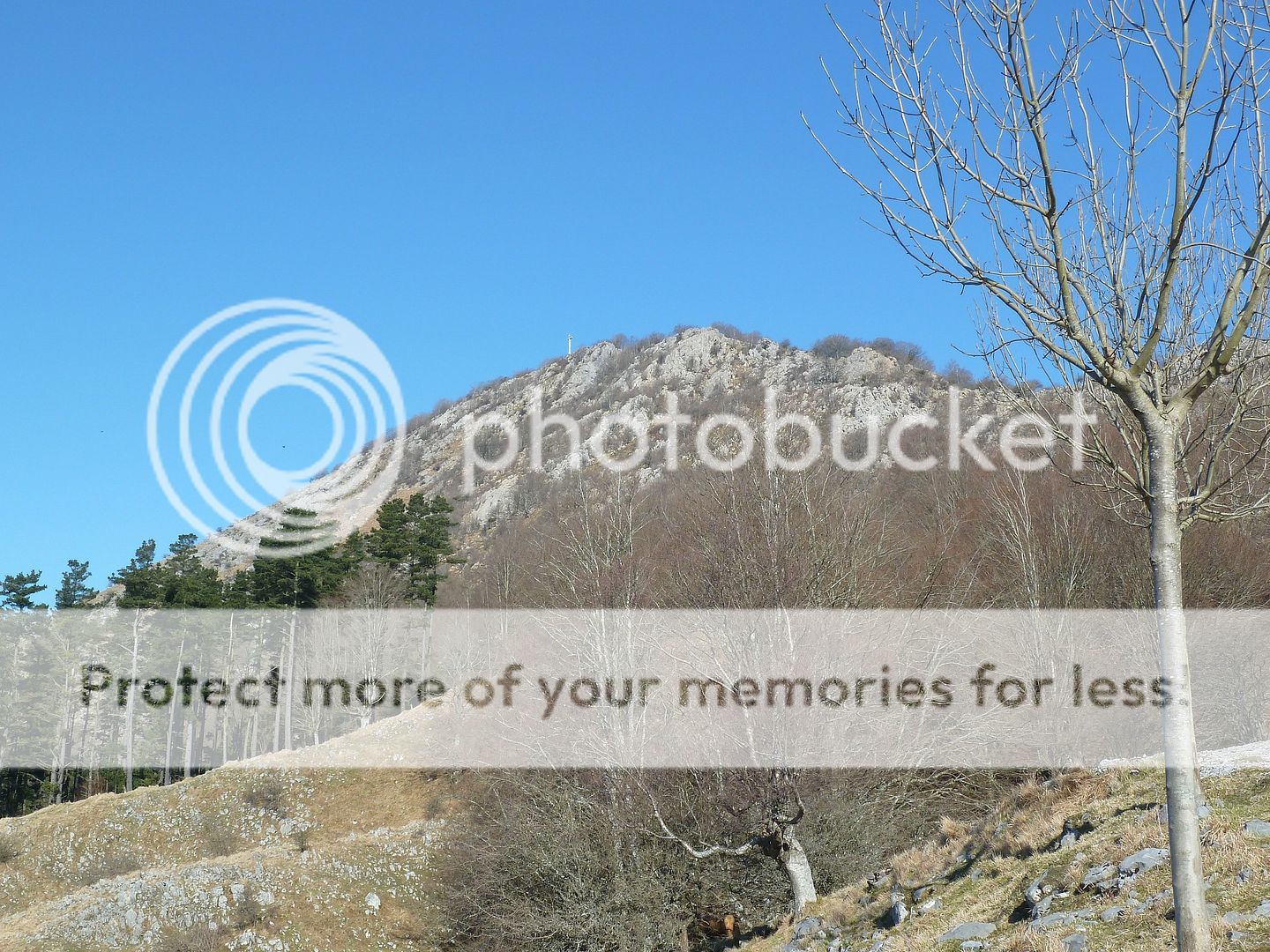 Photo Sharing and Video Hosting at Photobucket