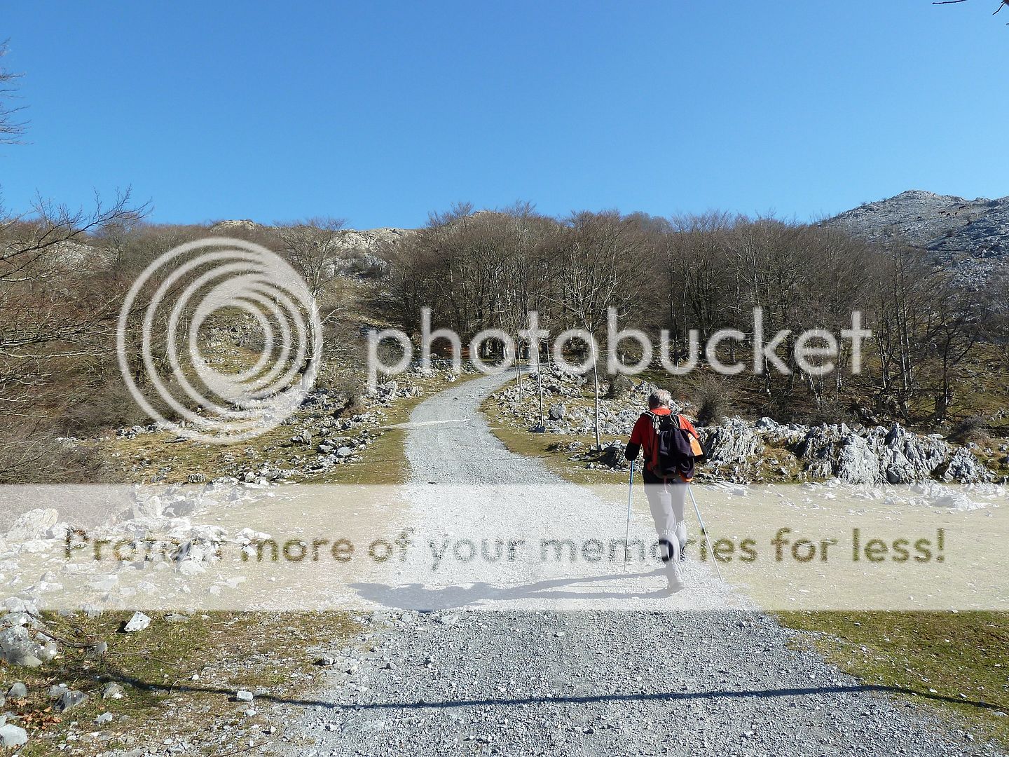 Photo Sharing and Video Hosting at Photobucket