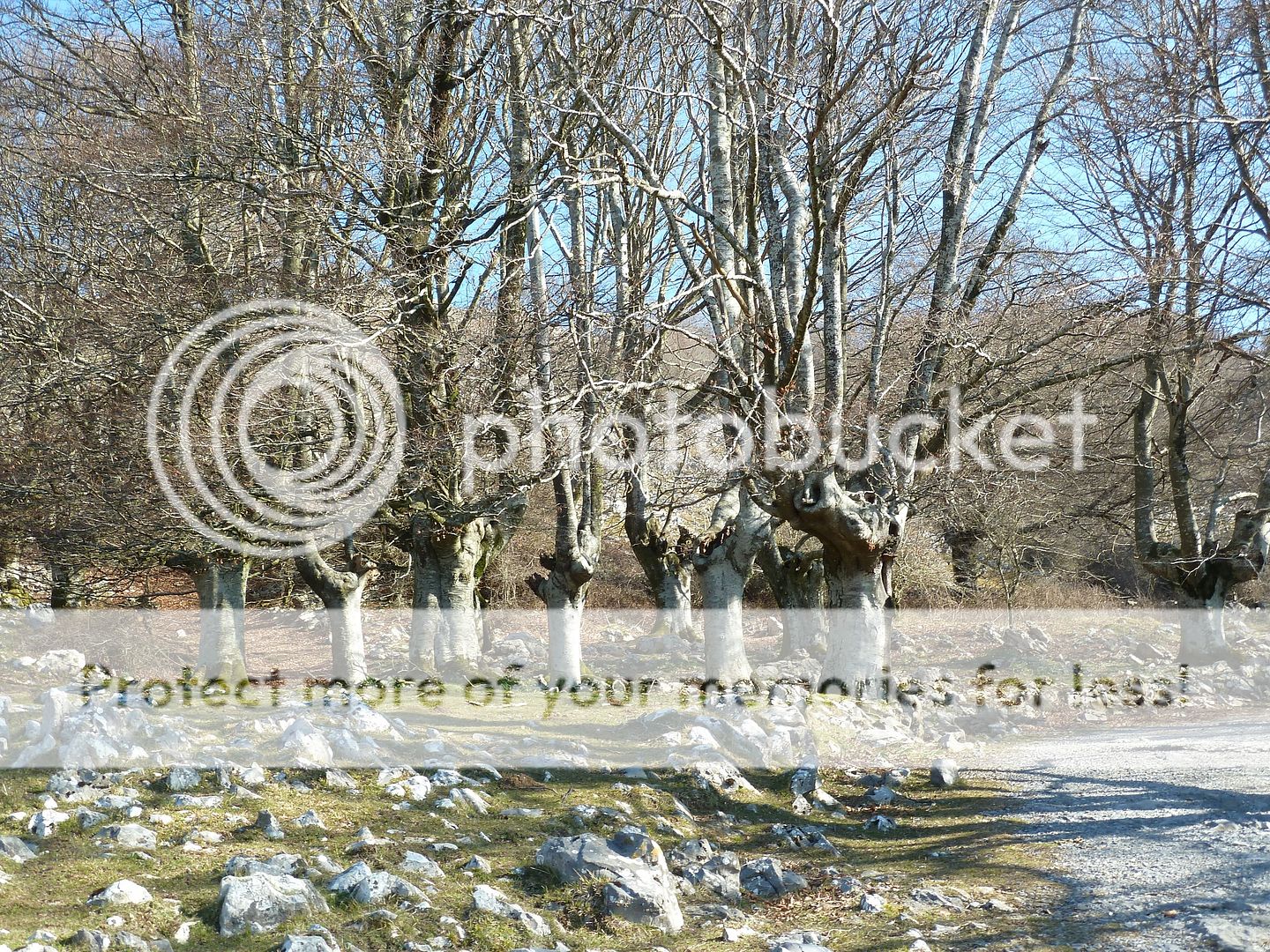Photo Sharing and Video Hosting at Photobucket