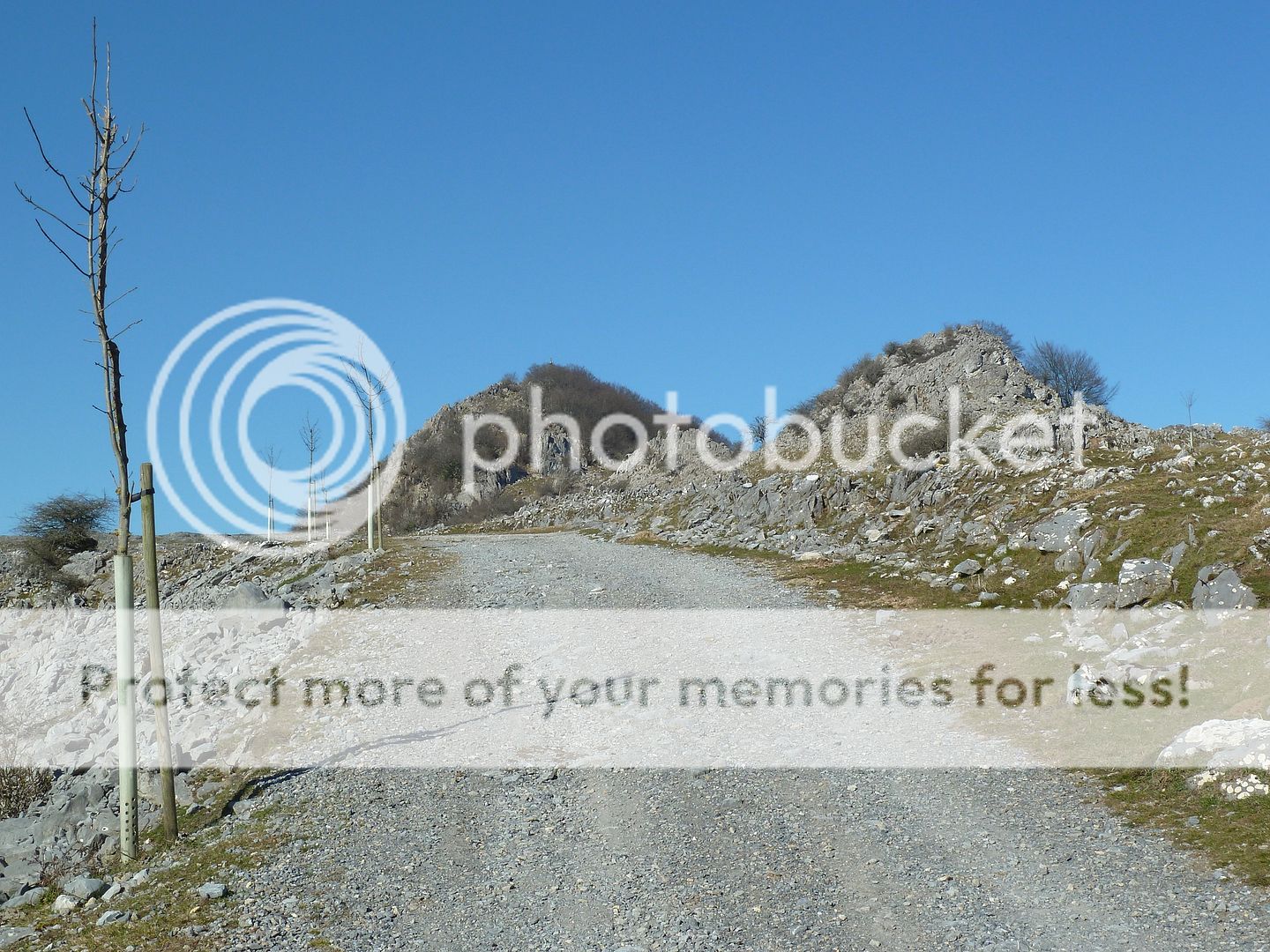 Photo Sharing and Video Hosting at Photobucket