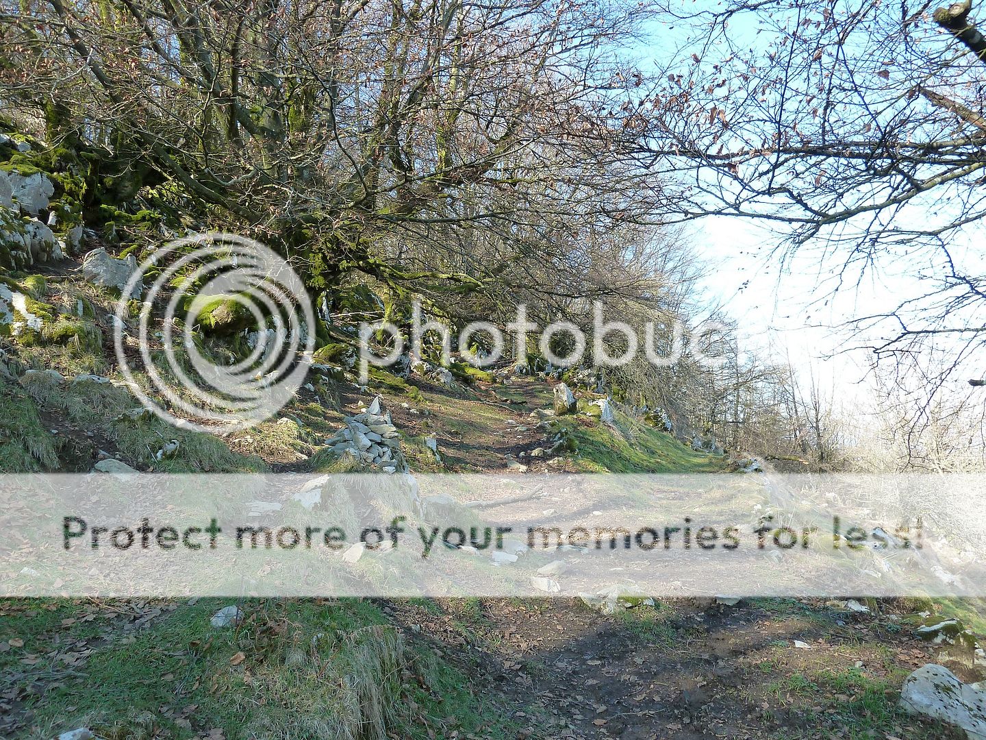 Photo Sharing and Video Hosting at Photobucket