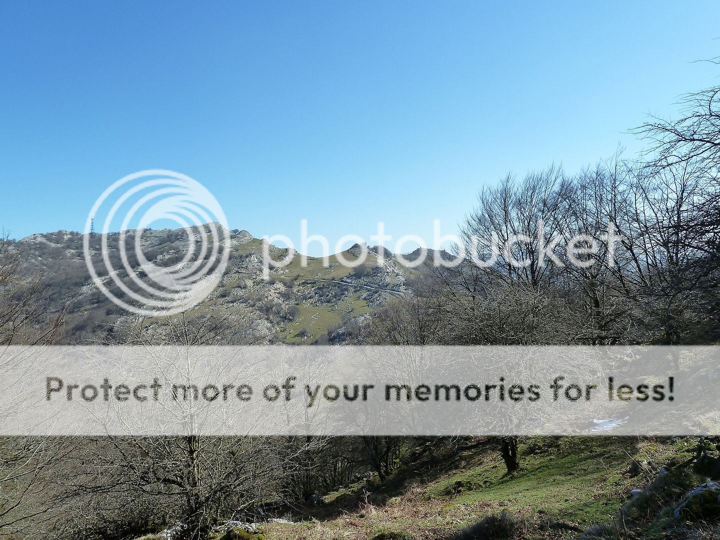 Photo Sharing and Video Hosting at Photobucket