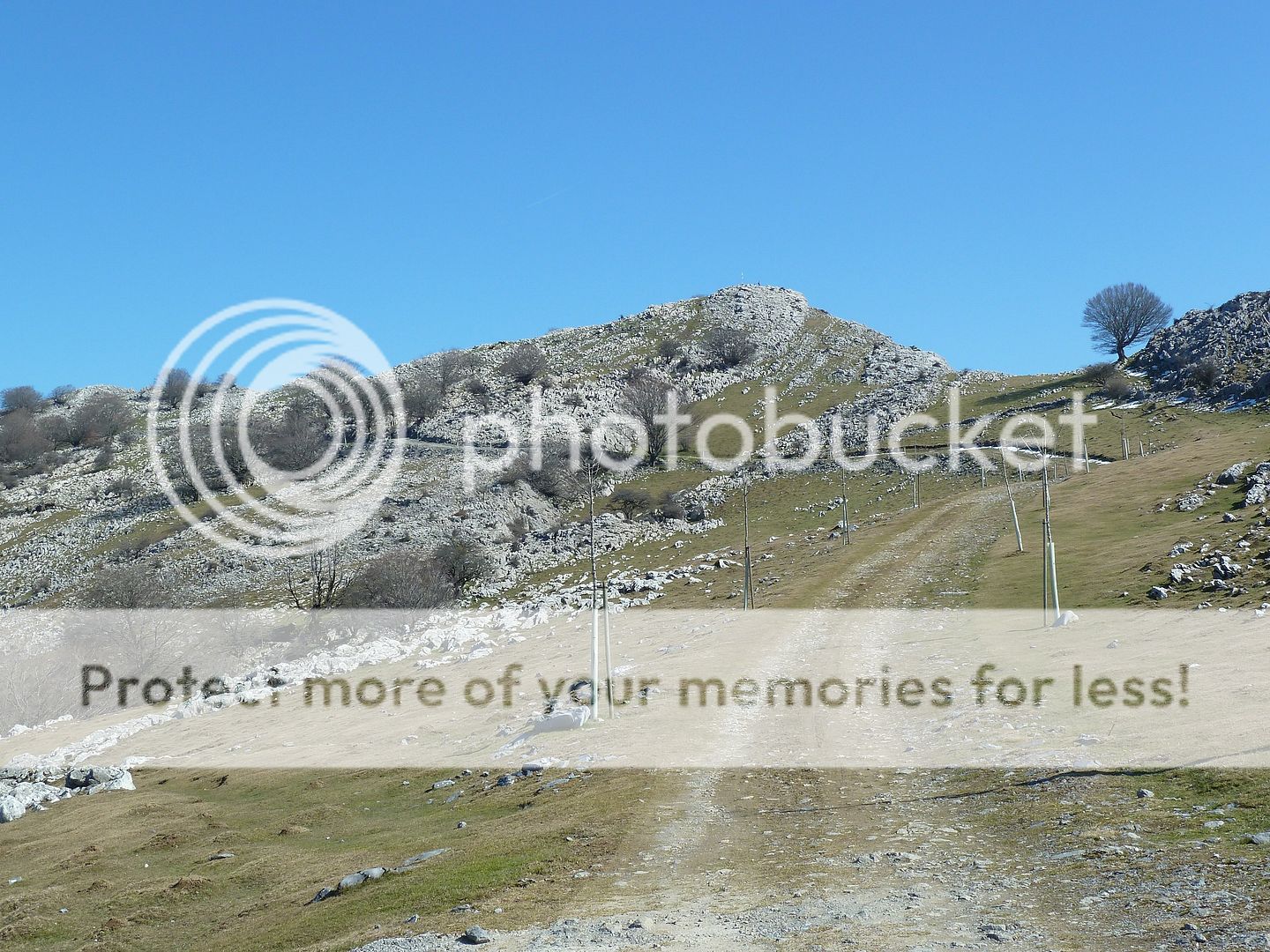 Photo Sharing and Video Hosting at Photobucket