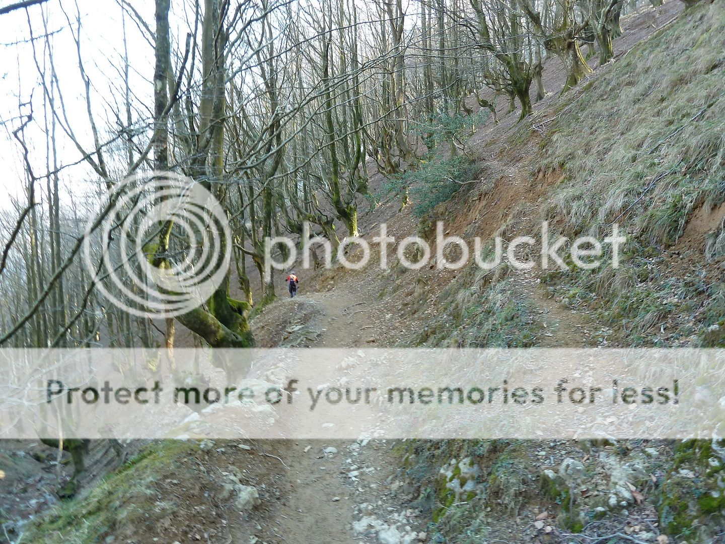 Photo Sharing and Video Hosting at Photobucket