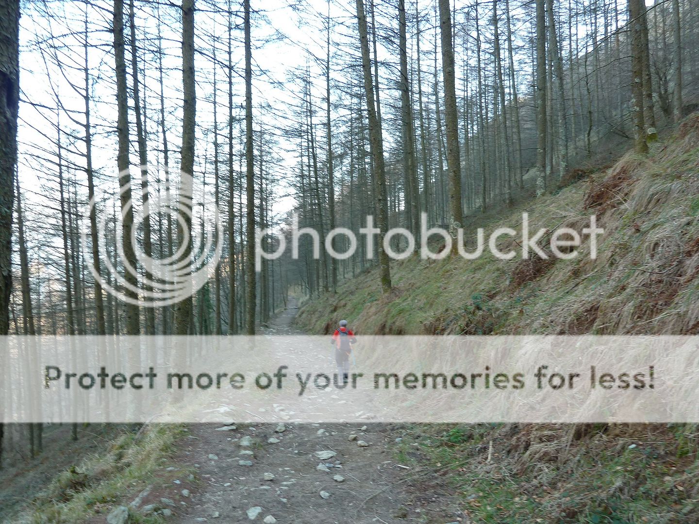 Photo Sharing and Video Hosting at Photobucket