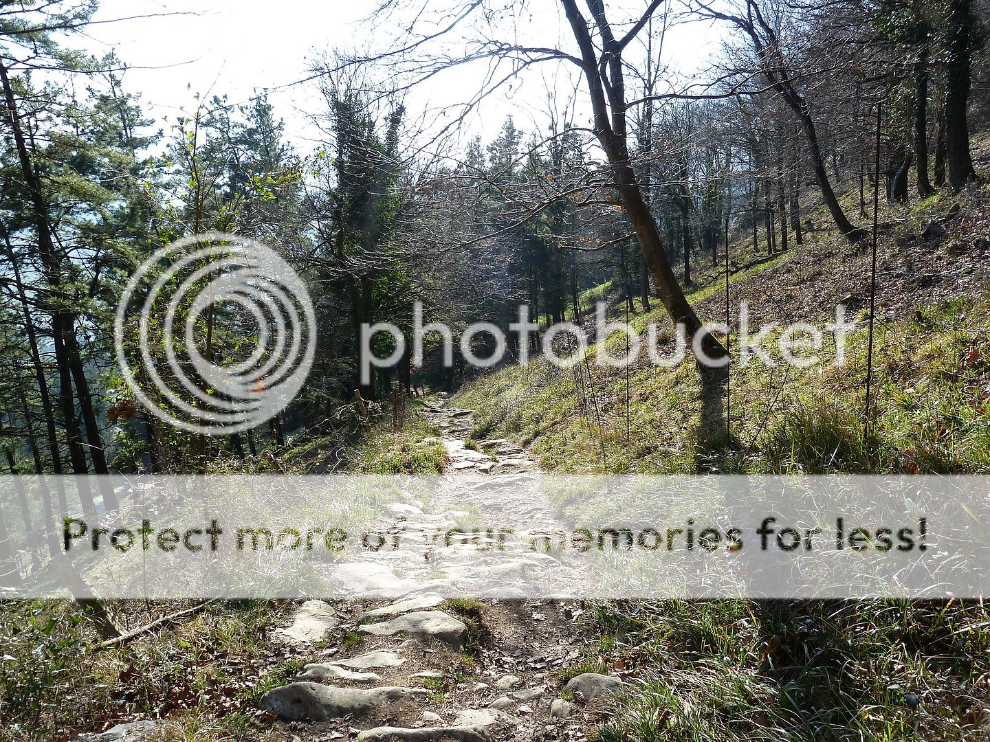 Photo Sharing and Video Hosting at Photobucket