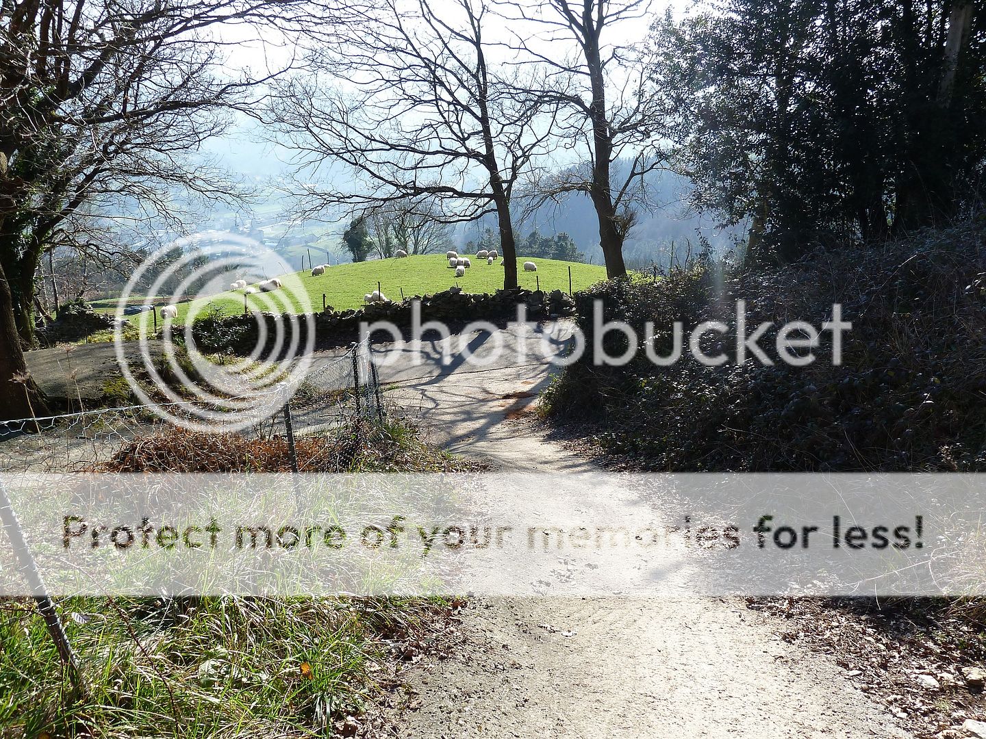 Photo Sharing and Video Hosting at Photobucket