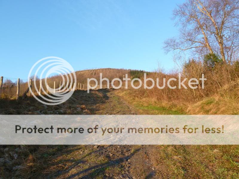 Photo Sharing and otobucVideo Hosting at Phket