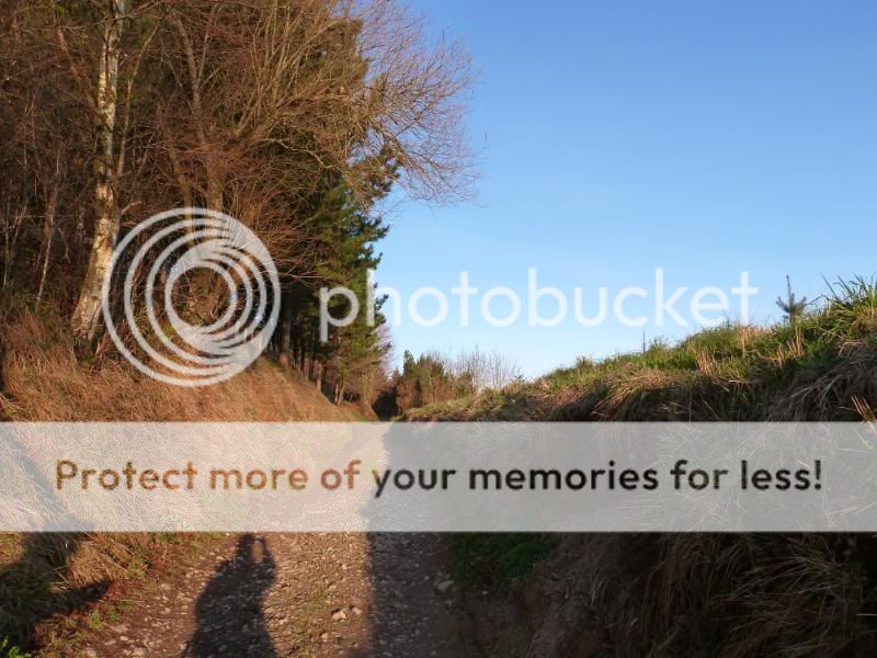 Photo Sharing and otobucVideo Hosting at Phket