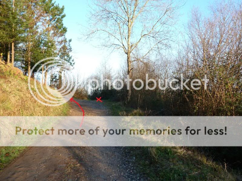 Photo Sharing and otobucVideo Hosting at Phket