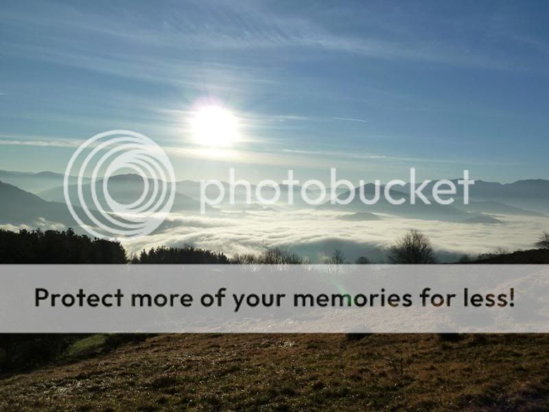 Photo Sharing and otobucVideo Hosting at Phket