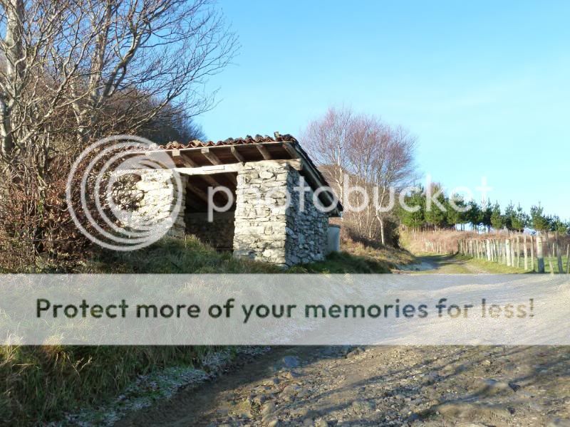 Photo Sharing and otobucVideo Hosting at Phket
