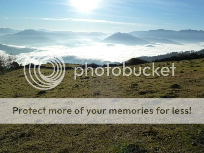 Photo Sharing and otobucVideo Hosting at Phket