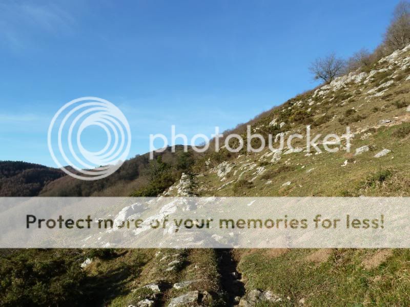 Photo Sharing and otobucVideo Hosting at Phket