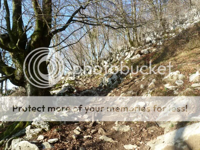 Photo Sharing and otobucVideo Hosting at Phket