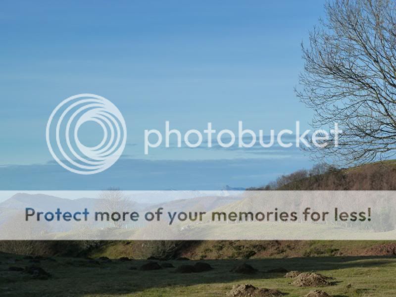 Photo Sharing and otobucVideo Hosting at Phket