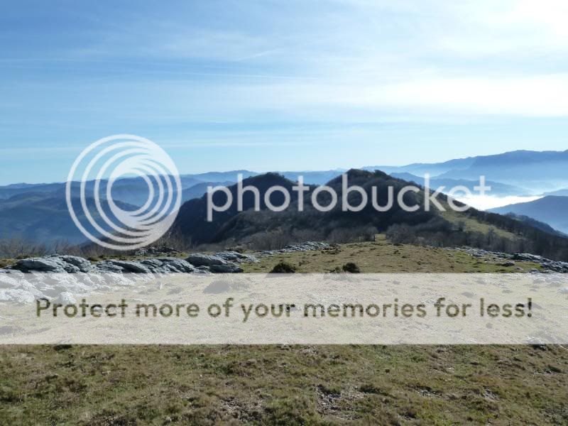 Photo Sharing and otobucVideo Hosting at Phket