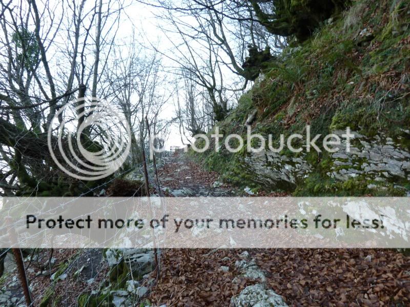 Photo Sharing and otobucVideo Hosting at Phket