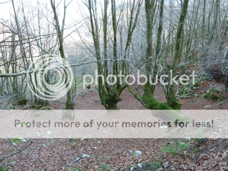 Photo Sharing and otobucVideo Hosting at Phket