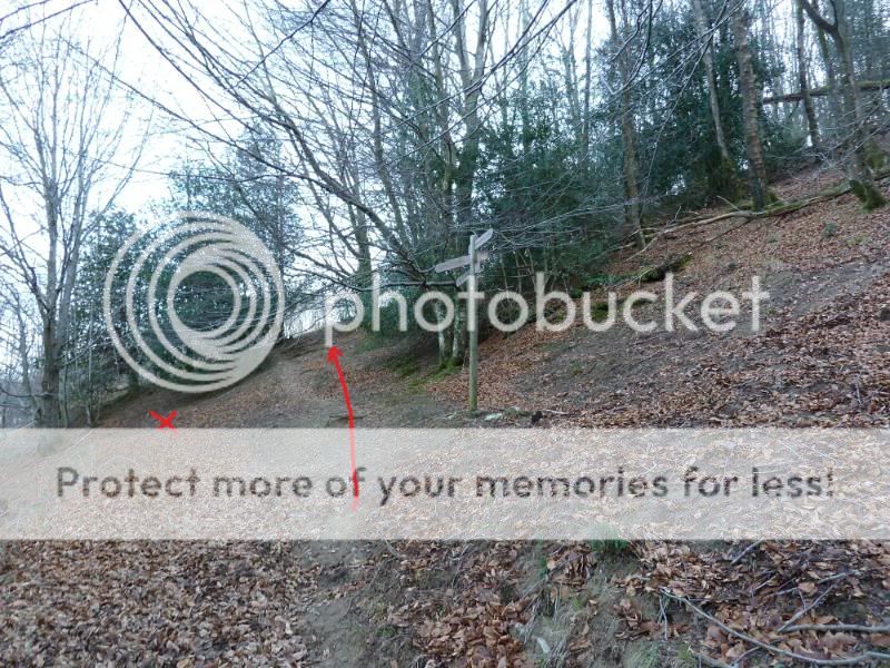 Photo Sharing and otobucVideo Hosting at Phket