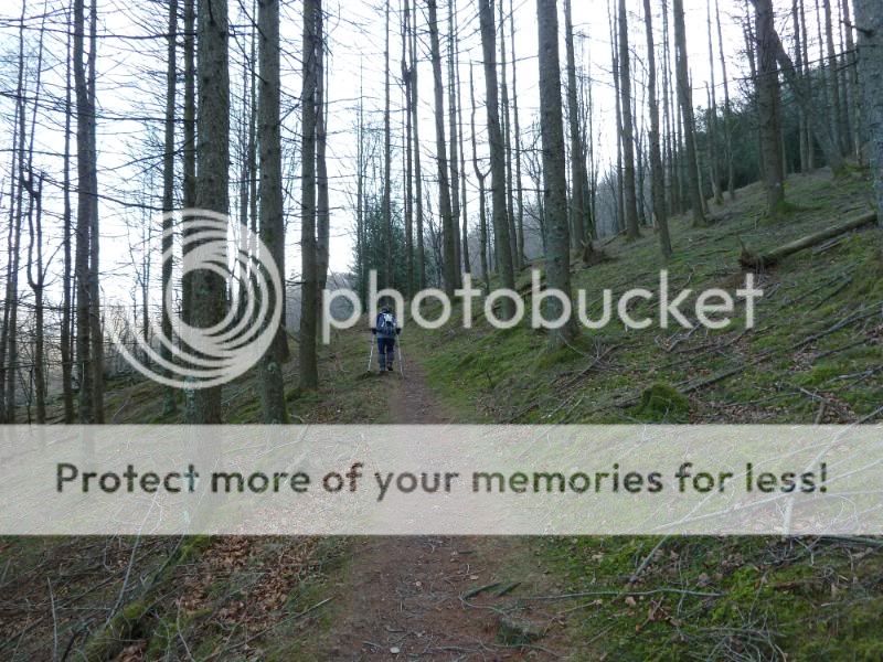 Photo Sharing and otobucVideo Hosting at Phket