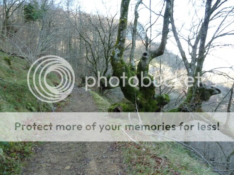 Photo Sharing and otobucVideo Hosting at Phket