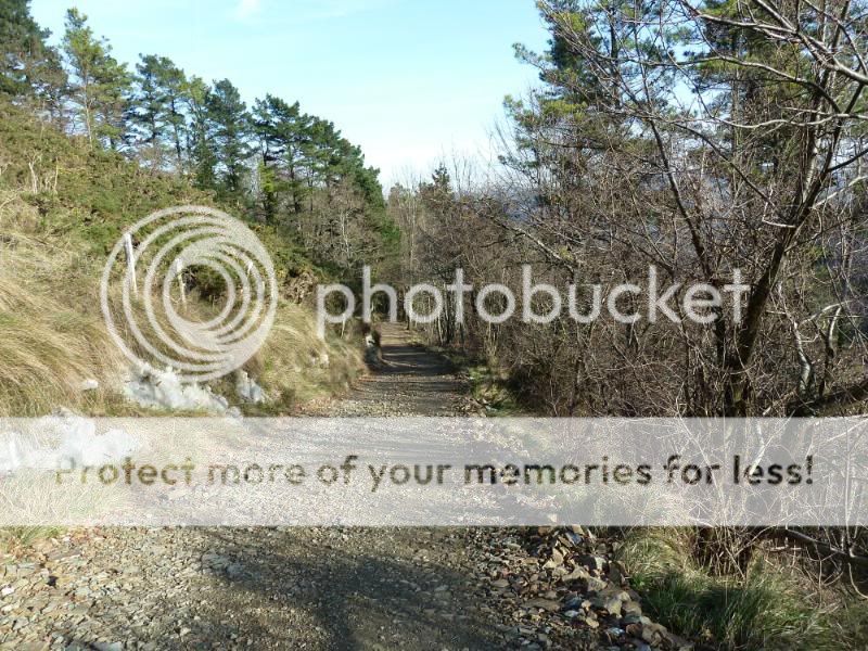 Photo Sharing and otobucVideo Hosting at Phket