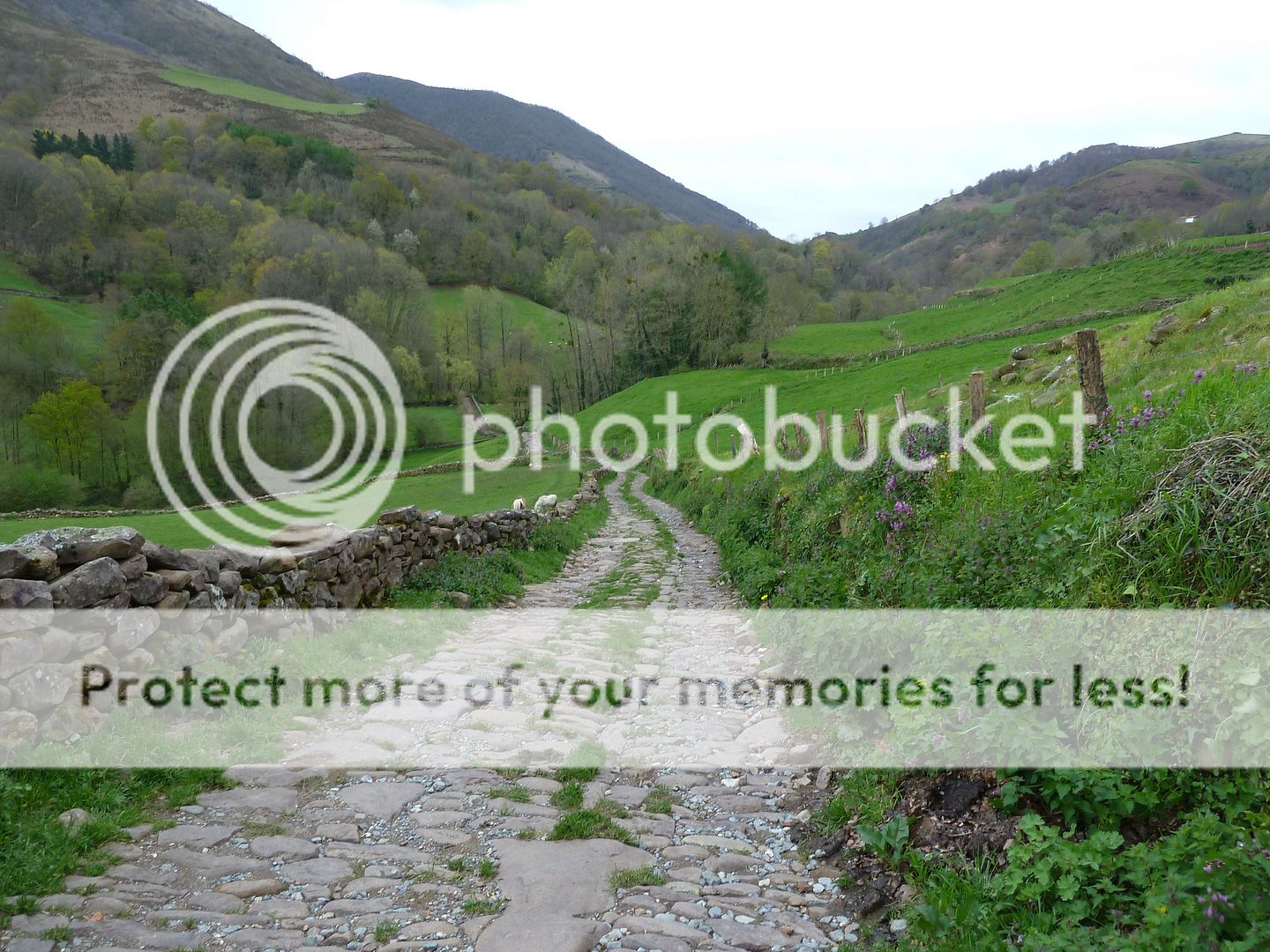 Photo Sharing and Video Hosting at Photobucket