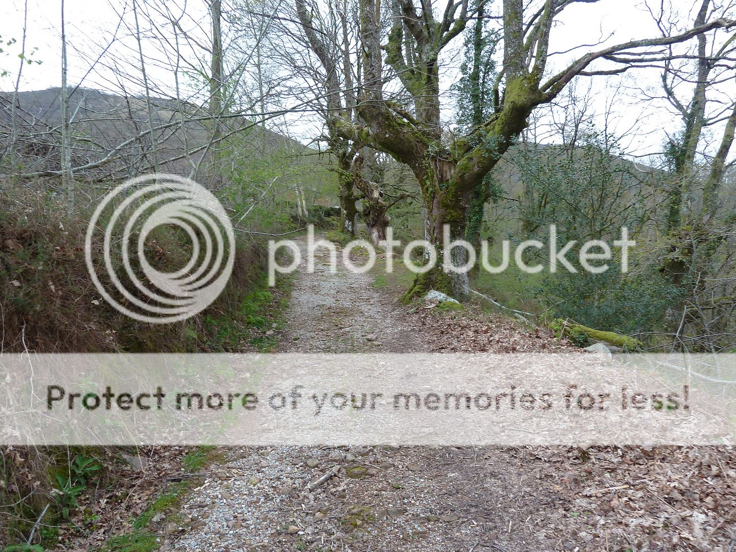 Photo Sharing and Video Hosting at Photobucket
