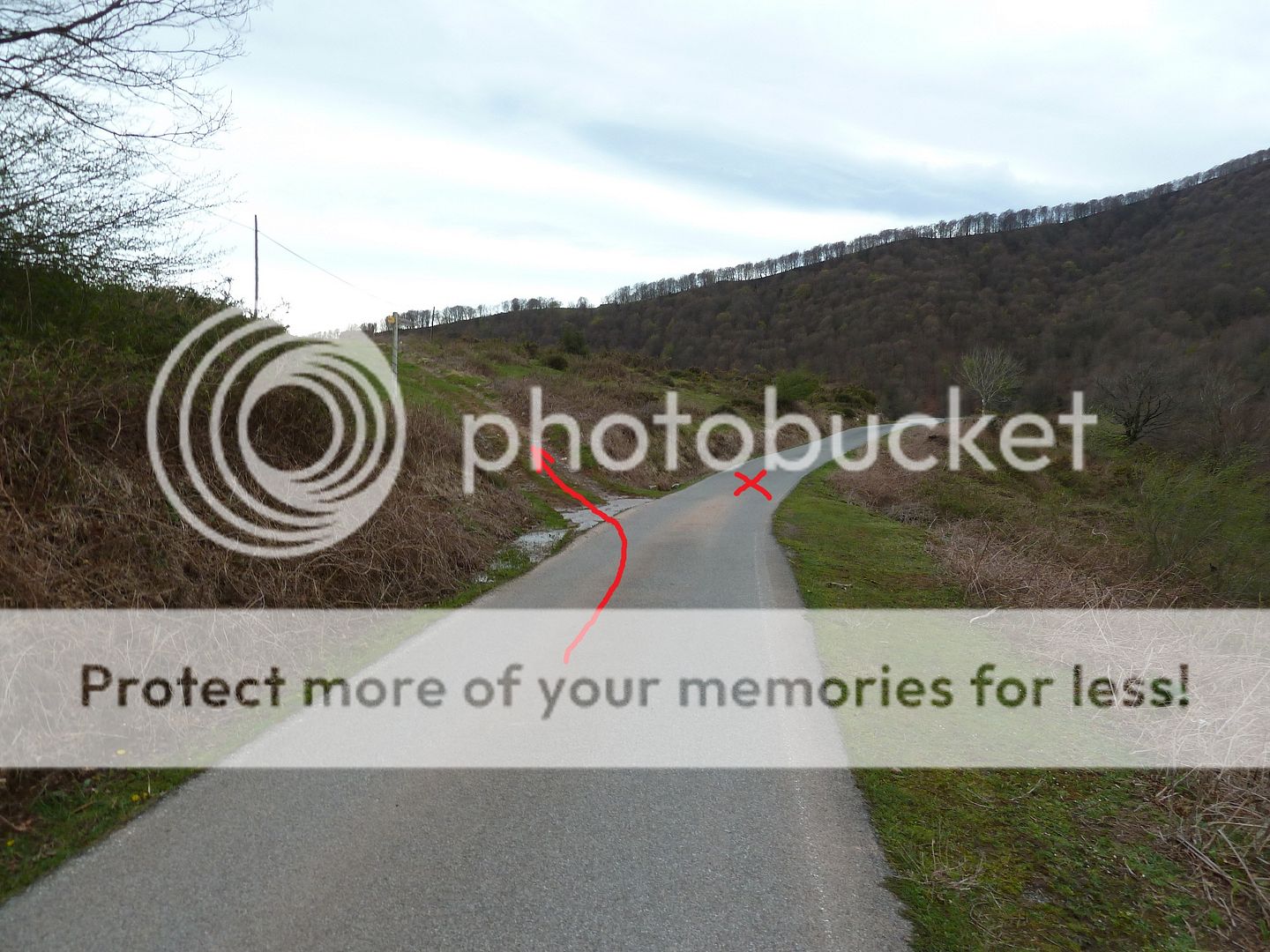 Photo Sharing and Video Hosting at Photobucket
