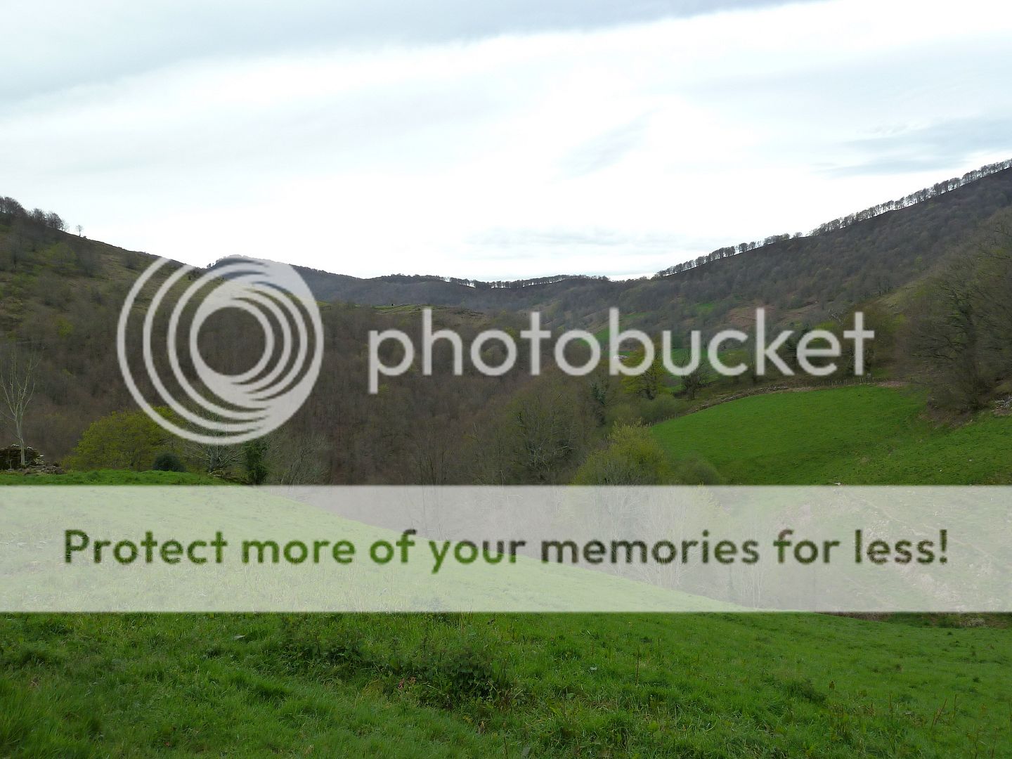 Photo Sharing and Video Hosting at Photobucket