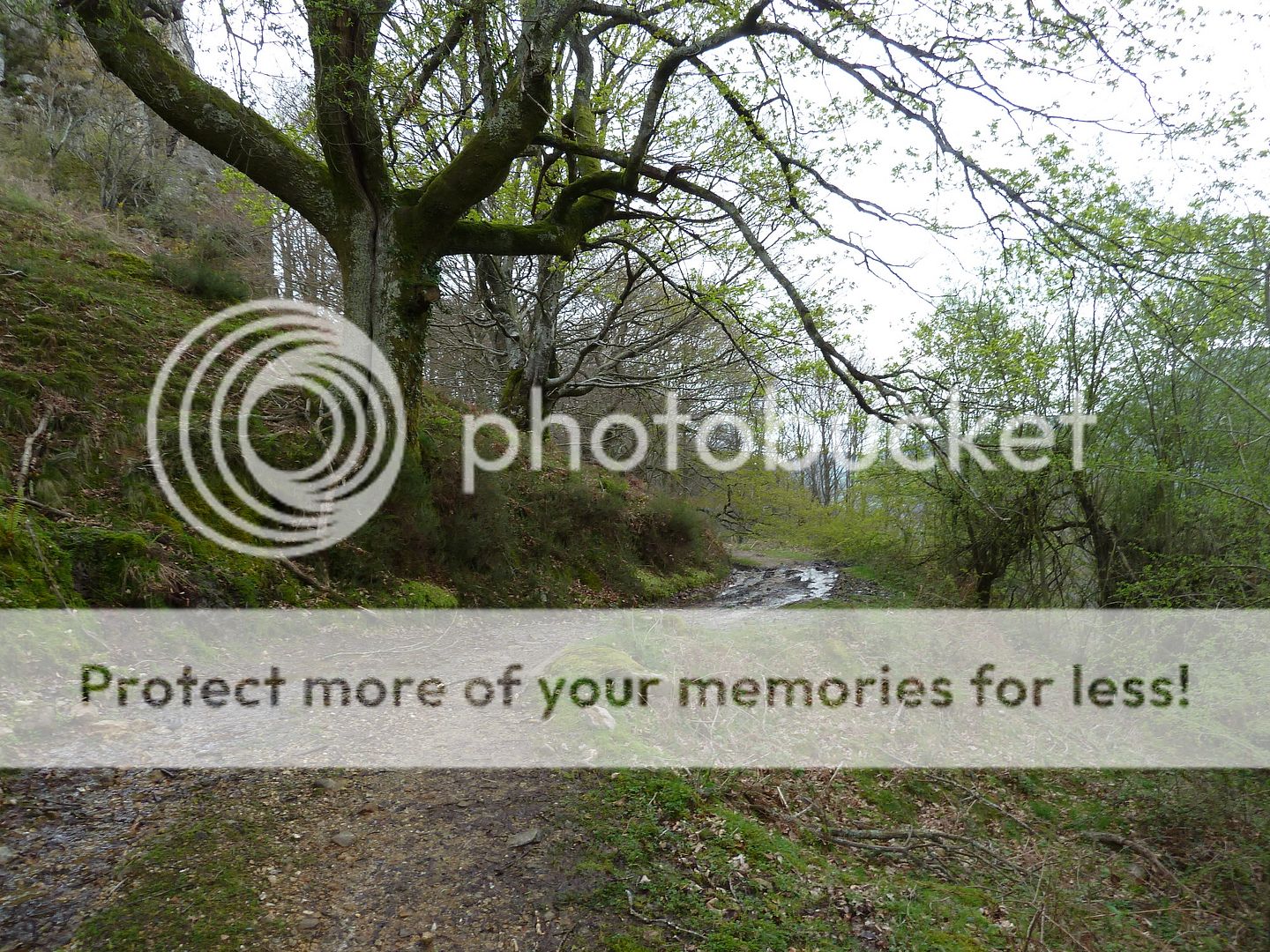 Photo Sharing and Video Hosting at Photobucket