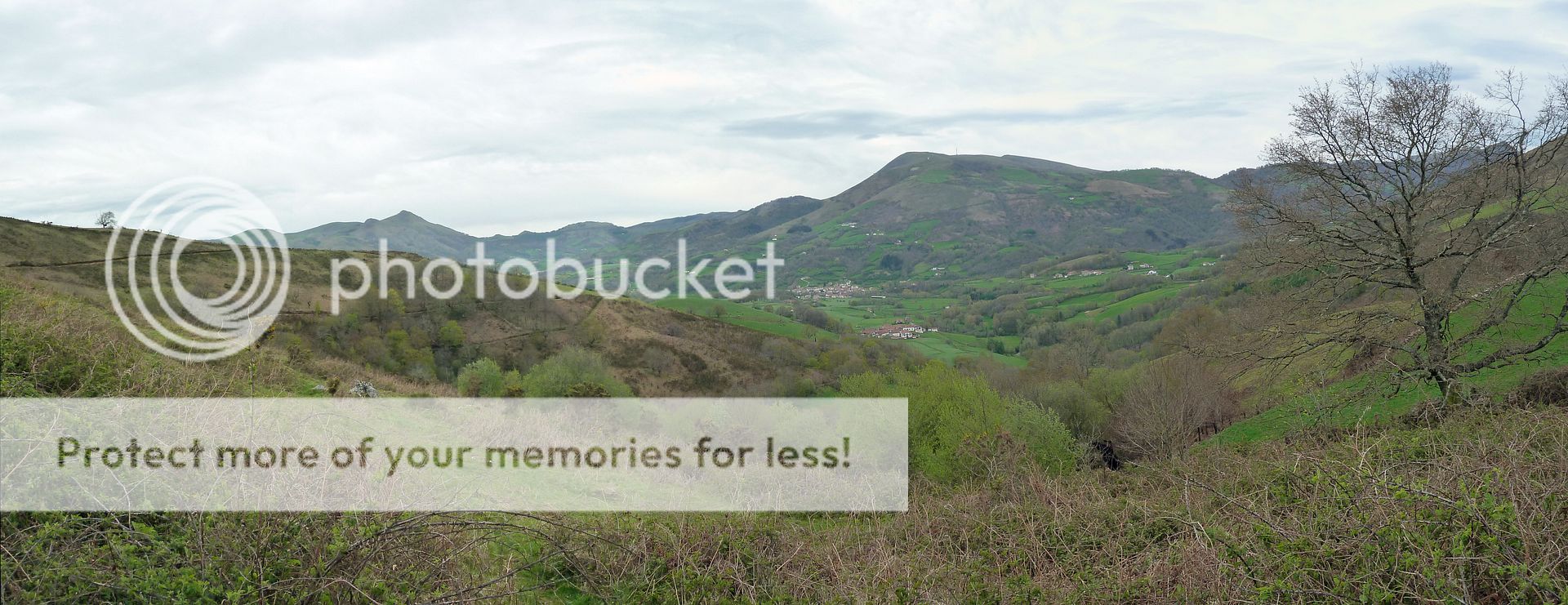 Photo Sharing and Video Hosting at Photobucket