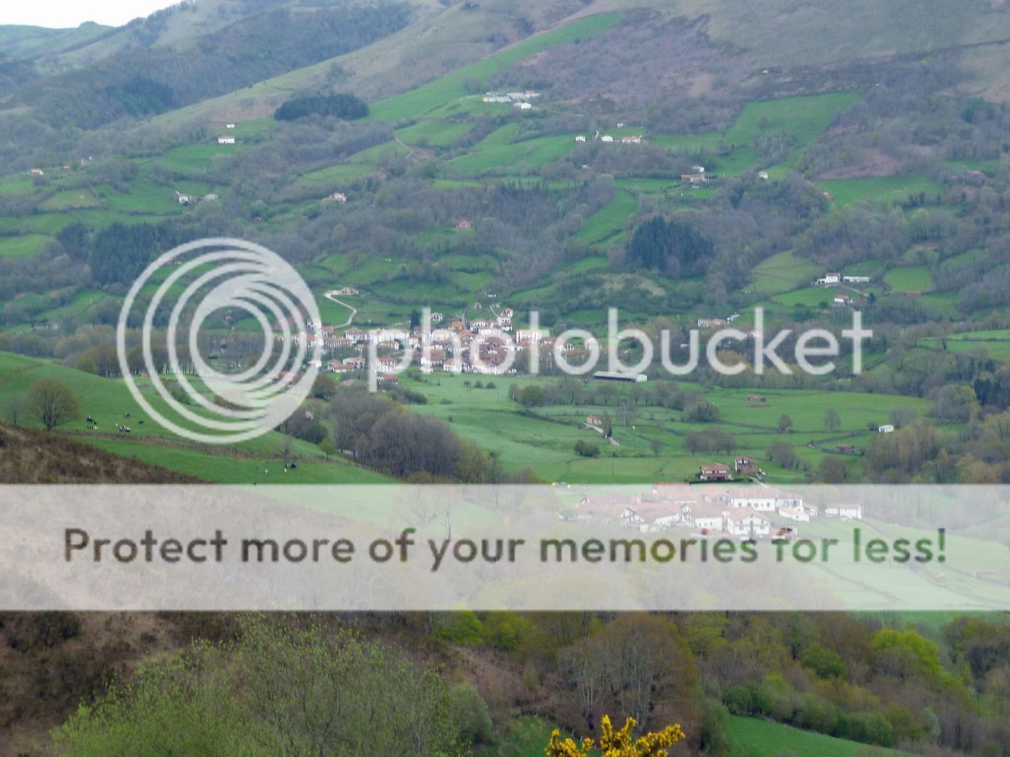 Photo Sharing and Video Hosting at Photobucket