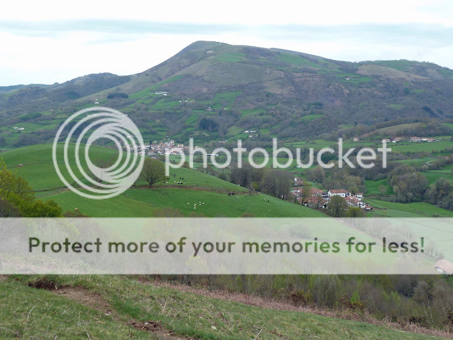 Photo Sharing and Video Hosting at Photobucket