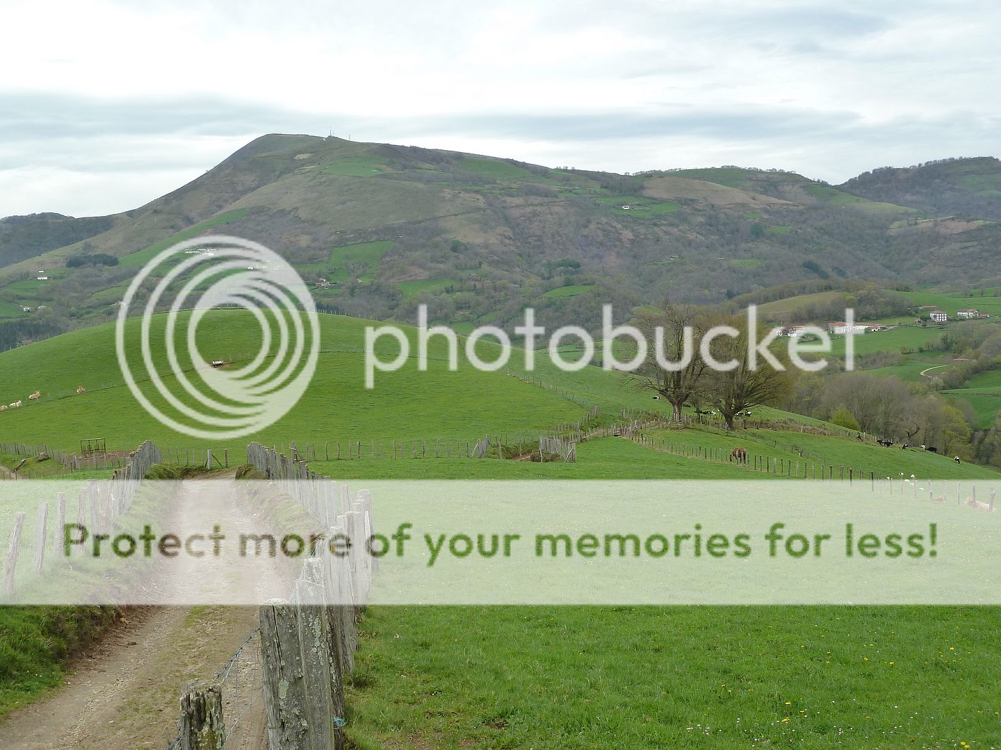 Photo Sharing and Video Hosting at Photobucket