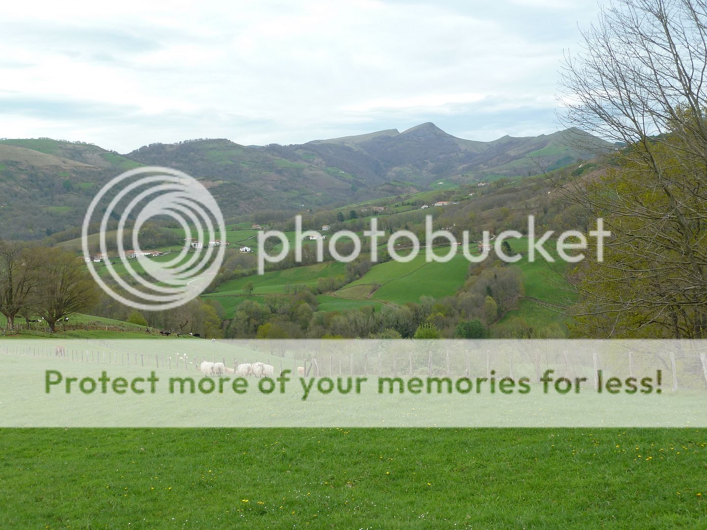 Photo Sharing and Video Hosting at Photobucket