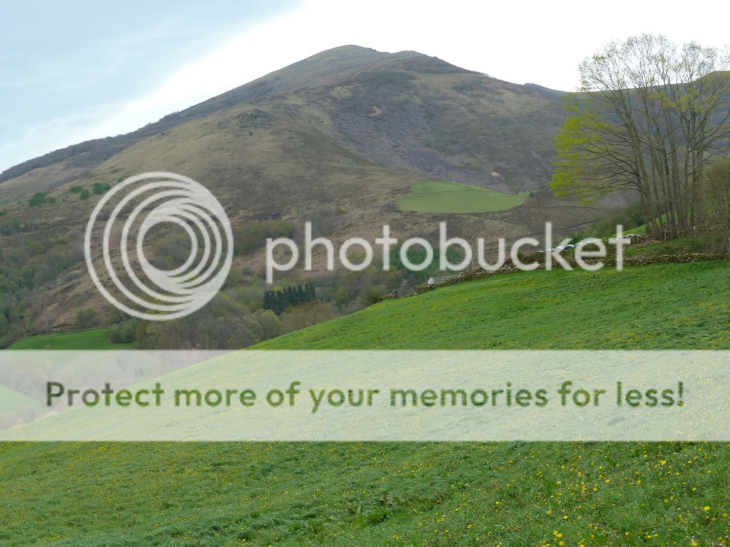Photo Sharing and Video Hosting at Photobucket