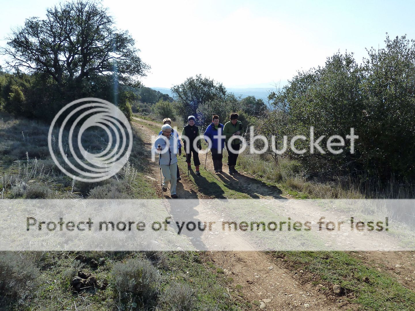 Photo Sharing and Video Hosting at Photobucket