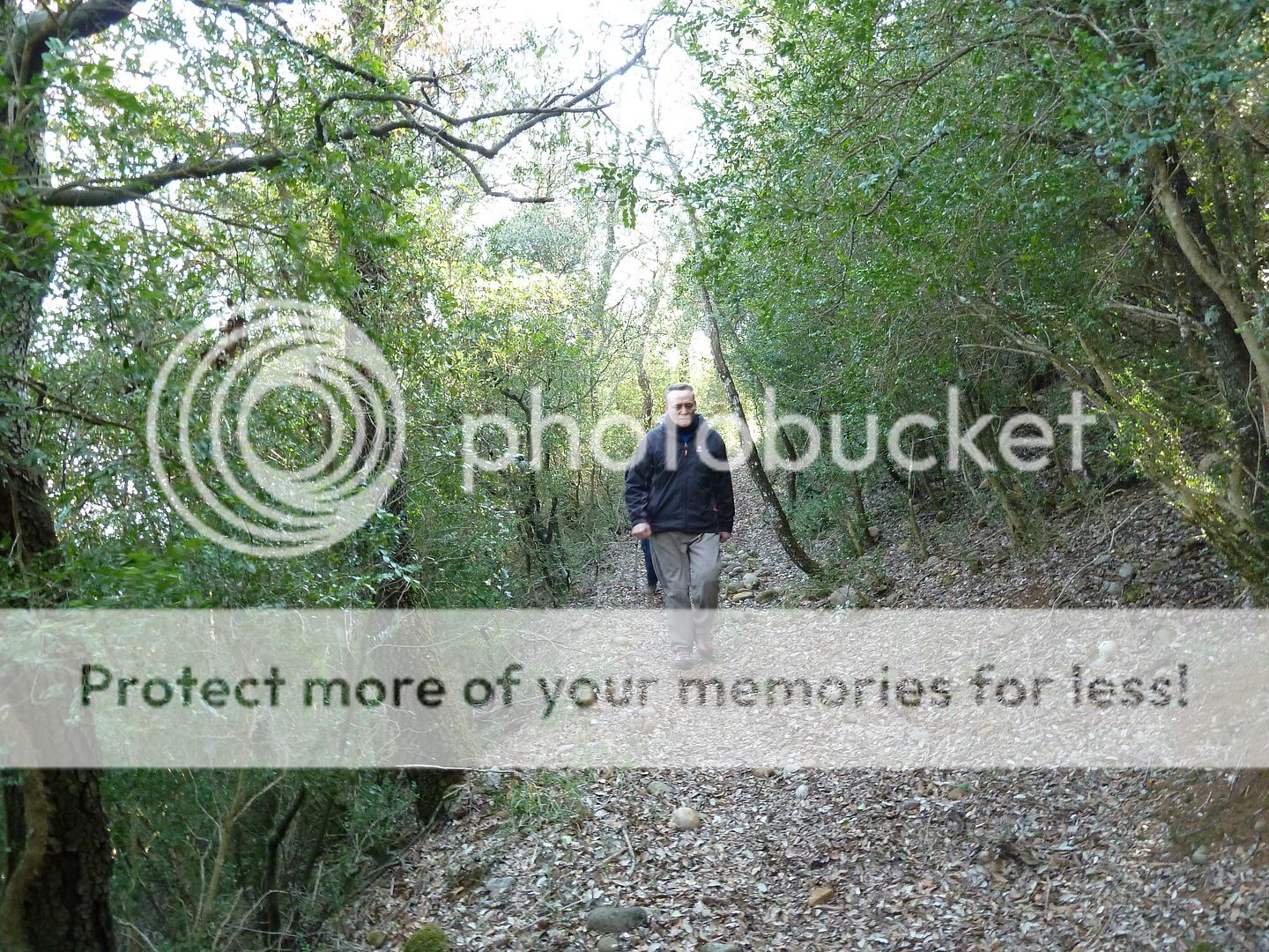 Photo Sharing and Video Hosting at Photobucket