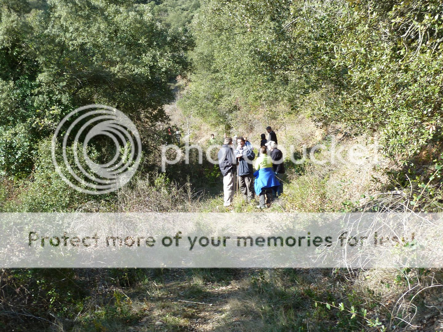 Photo Sharing and Video Hosting at Photobucket
