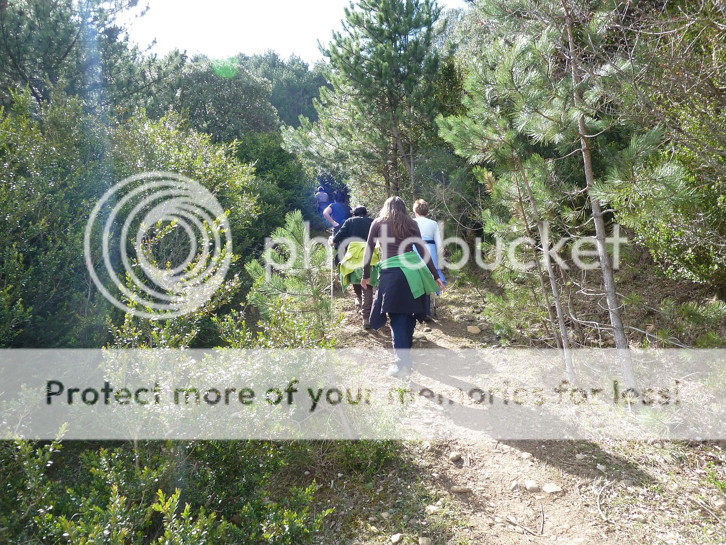 Photo Sharing and Video Hosting at Photobucket