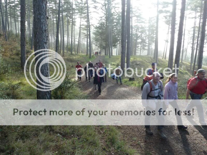 Photo Sharing and otobucVideo Hosting at Phket