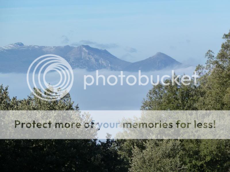 Photo Sharing and otobucVideo Hosting at Phket