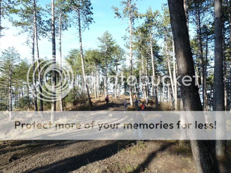 Photo Sharing and otobucVideo Hosting at Phket