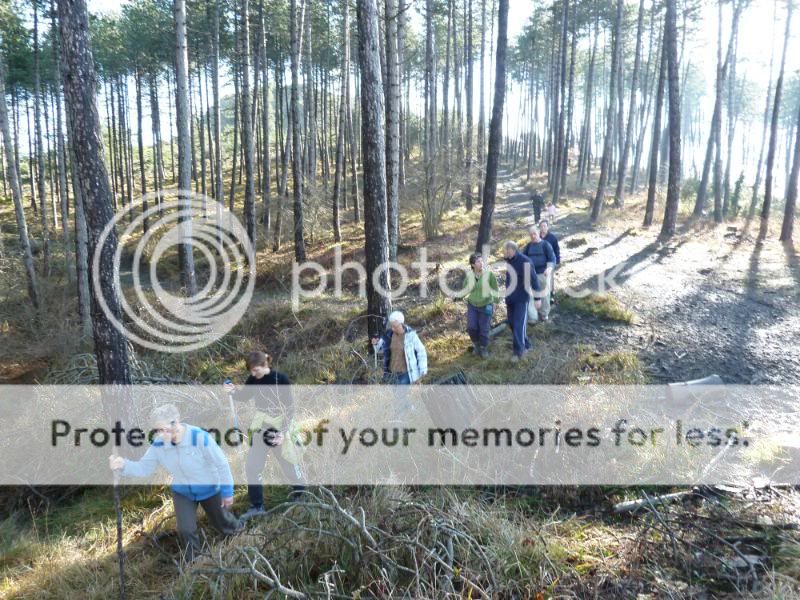 Photo Sharing and otobucVideo Hosting at Phket