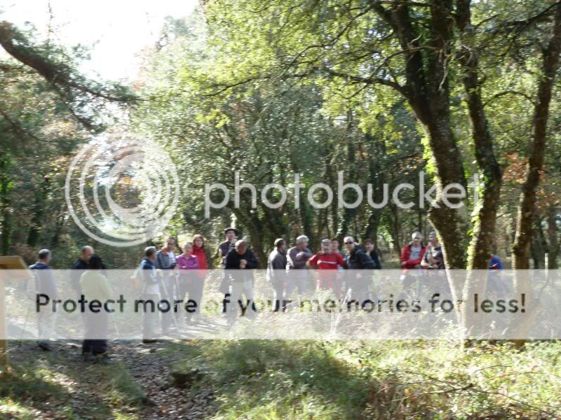 Photo Sharing and otobucVideo Hosting at Phket