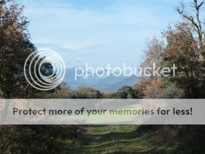 Photo Sharing and otobucVideo Hosting at Phket