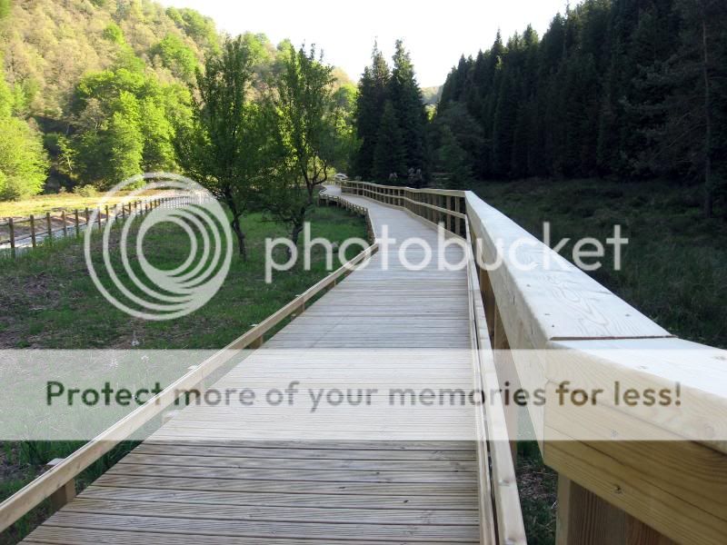 Photo Sharing and Video Hosting at Photobucket