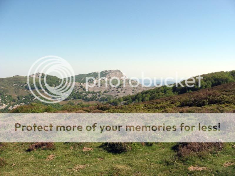 Photo Sharing and Video Hosting at Photobucket